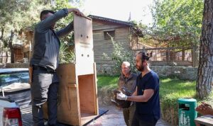 Büyükşehir Doğal Yaşam Parkı’nın tedavi edilen Yılan Kartalı doğaya geri döndü