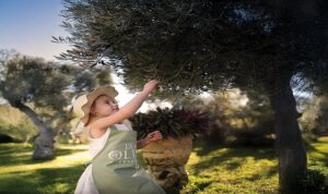 Ela Excellence Resort Belek’te Zeytin Ağaçlarının Gölgesinde Unutulmaz Bir Yolculuk