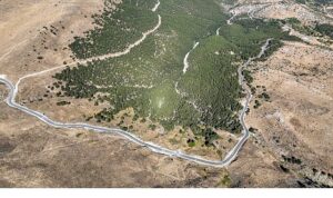 Selçuklu Belediyesi Ulaşımı Rahatlattı