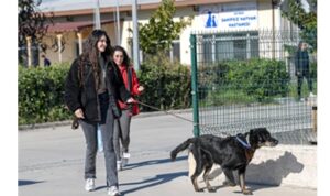 İzmirli hayvansever Çörekçi’nin emanetlerine İzmir Büyükşehir Belediyesi sahip çıktı