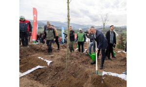 Karamürsel’de yanan bölge 3 bin fidanla yeniden yeşerecek