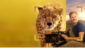 ‘Bertie Gregory Çitalarla Yüz Yüze’,   3 Ocak Cumartesi 20.00’de   National Geographic WILD Ekranlarında!