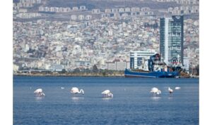 İzmir’de kiralar 20 kat arttı