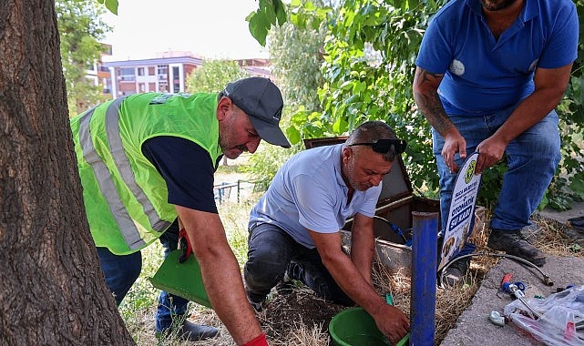 Buca Belediyesi’nden sokak hayvanlarına can suyu