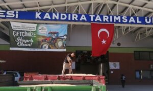 Büyükşehir’den üreticiye 10 milyon TL’lik ek gelir