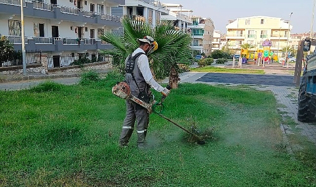 Didim Belediyesi kent genelinde ot biçme ve budama çalışmalarını sürdürüyor