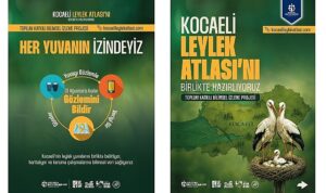 Kocaeli’de her yuvanın izi sürülecek