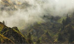 4 Bölümden Oluşan ‘Vahşi Karpatlar’,   26 Eylül Cumartesi Saat 20.00’de Art Arda Tüm Bölümleriyle National Geographic WILD Ekranlarında!