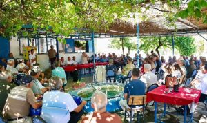 Didim Belediye Başkanı Hatice Gençay, zeytin üreticileriyle bir araya geldi