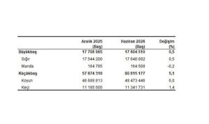 Hayvancılık İstatistikleri, Haziran 2026
