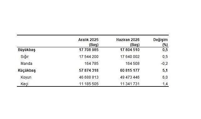 Hayvancılık İstatistikleri, Haziran 2026