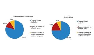Mali Aracı Kuruluş İstatistikleri, 2025