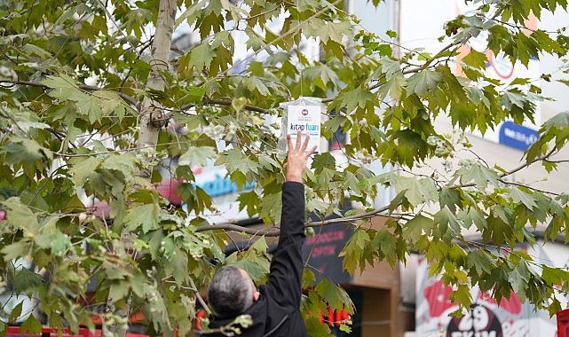 Sadece bu kentin ağaçları kitap açar